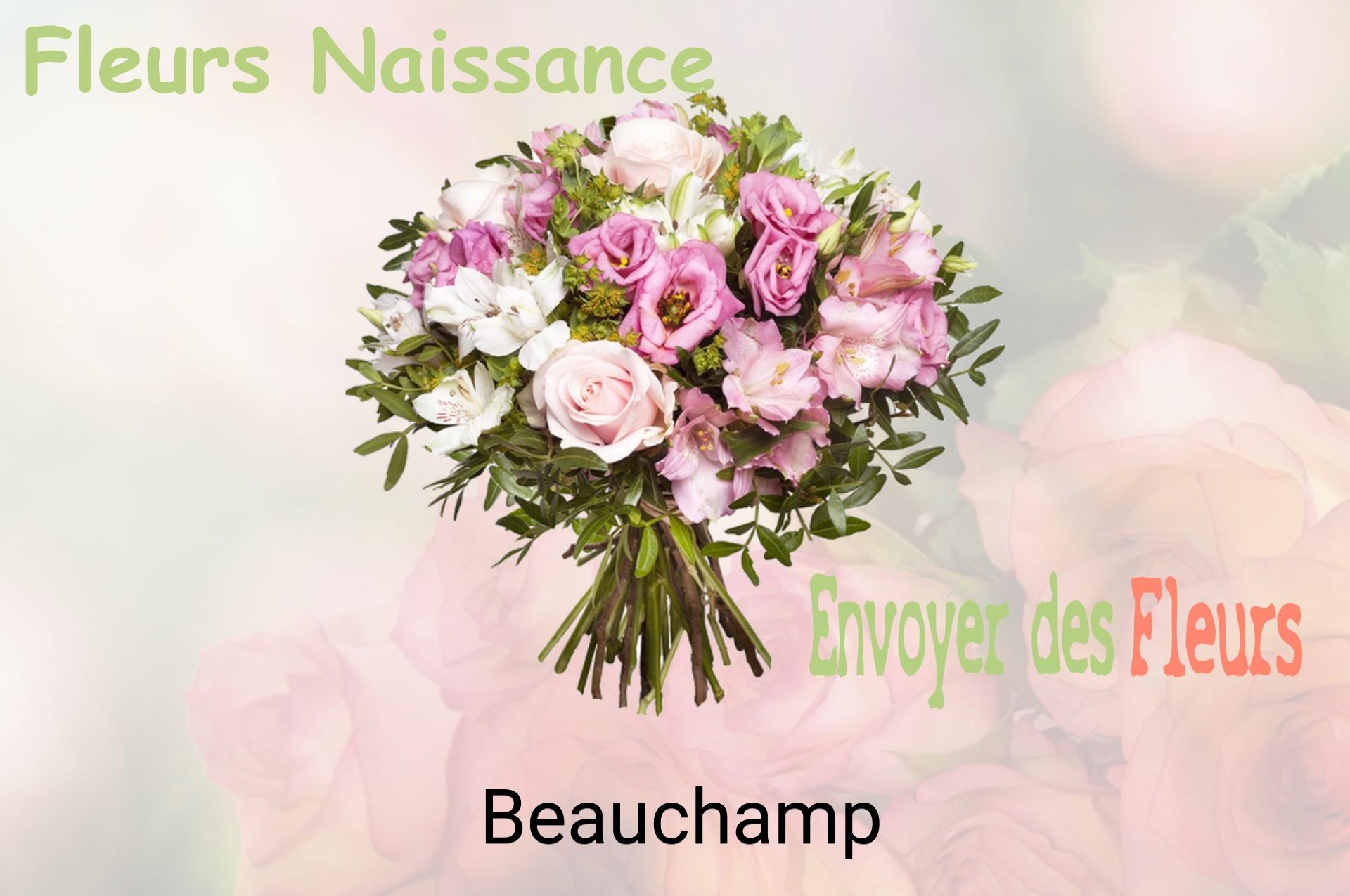 Bouquet de fleurs de naissance livré à Beauchamp